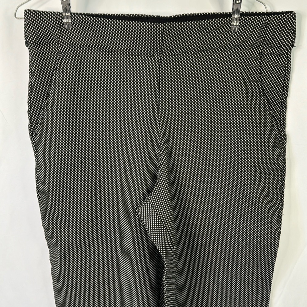 Max Studio Stretch Dress Pants